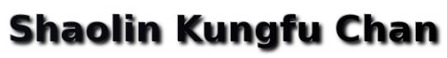 Gallery/shaolin-kungfu.jpg