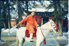 ShaolinHorse.jpg