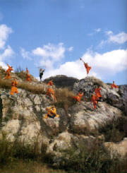 ShaolinMonks.jpg