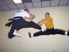 FlyingkicktoAbs.jpeg